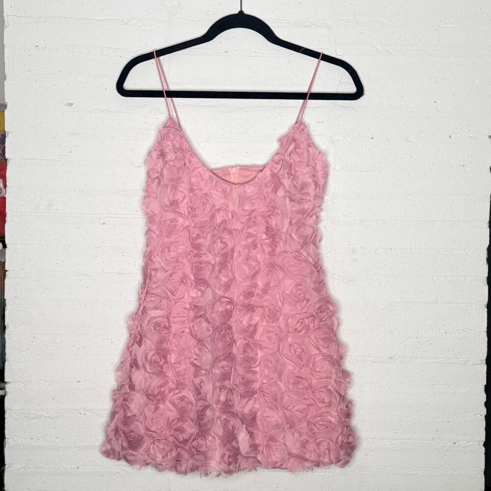 Textured Rosette Mini Dress 6 Homecoming Coquette Barbiecore Romantic Party NWT - Picture 6 of 7